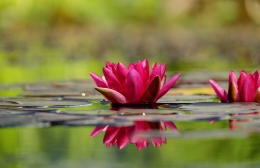 Mindfulness Meditations kurs – för Alla, Malmö